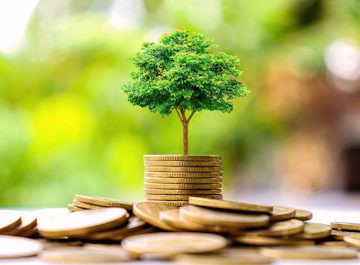 green investment